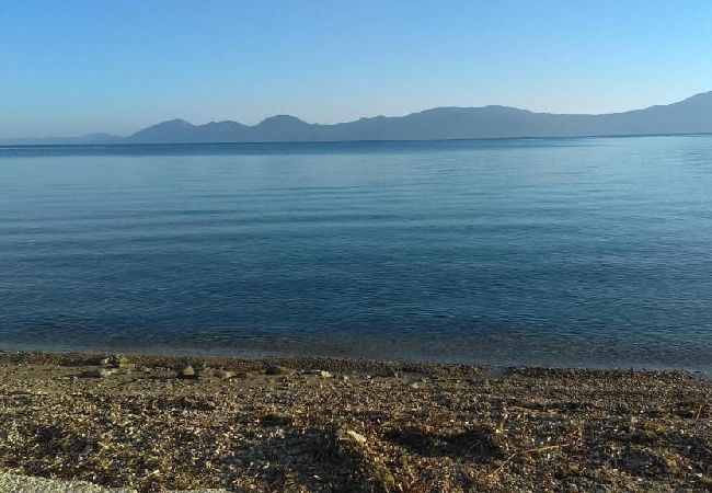 Studio a Sucuraj - Appartamento Studio in San Giorgio (Sućuraj) con vista mare, balcone, Climatizzazione, WIFI (3560-3) Studio a Sucuraj - Appartamento Studio in San Giorgio (Sućuraj) con vista mare, balcone, Climatizzazione, WIFI (3560-3)