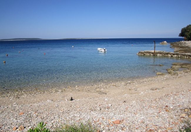 Appartamento a Stivan - Appartamento in Stivan con balcone, Climatizzazione, WIFI, Lavatrice (5196-1) Appartamento a Stivan - Appartamento in Stivan con balcone, Climatizzazione, WIFI, Lavatrice (5196-1)