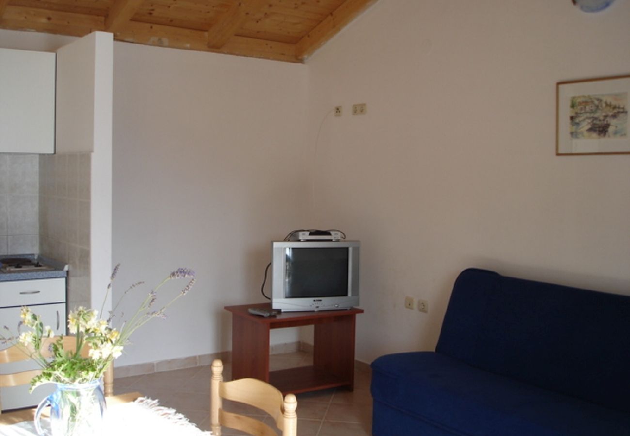 Appartamento a Saplunara - Appartamento in Saplunara con vista mare, terrazzo, Climatizzazione, WIFI (5197-5)