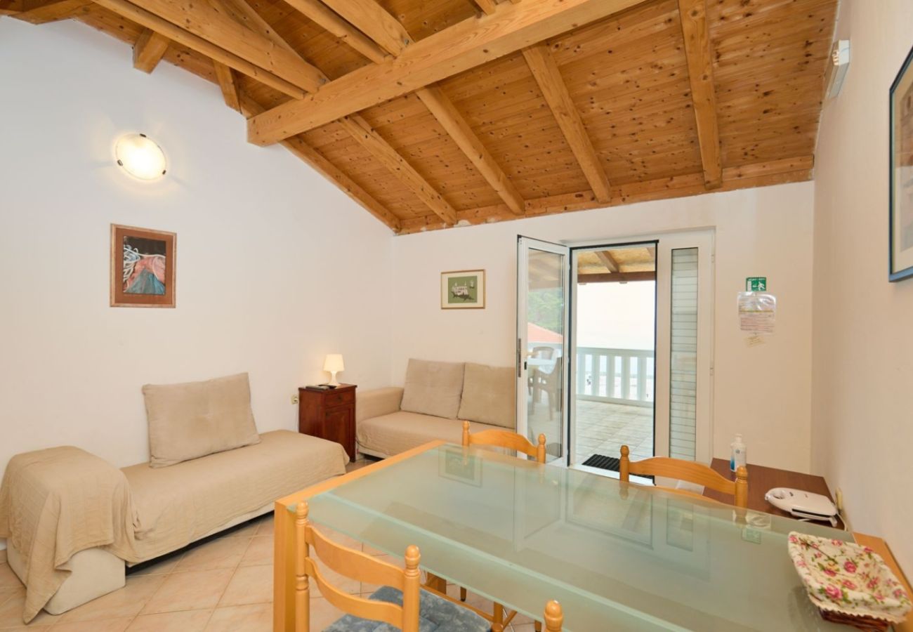 Appartamento a Saplunara - Appartamento in Saplunara con vista mare, terrazzo, Climatizzazione, WIFI (5197-5)