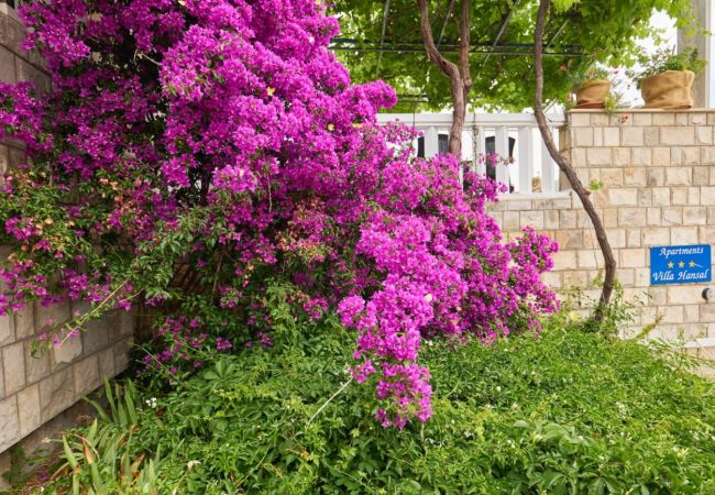 Appartamento a Saplunara - Appartamento in Saplunara con vista mare, balcone, Climatizzazione, WIFI (5197-1) Appartamento a Saplunara - Appartamento in Saplunara con vista mare, balcone, Climatizzazione, WIFI (5197-1)