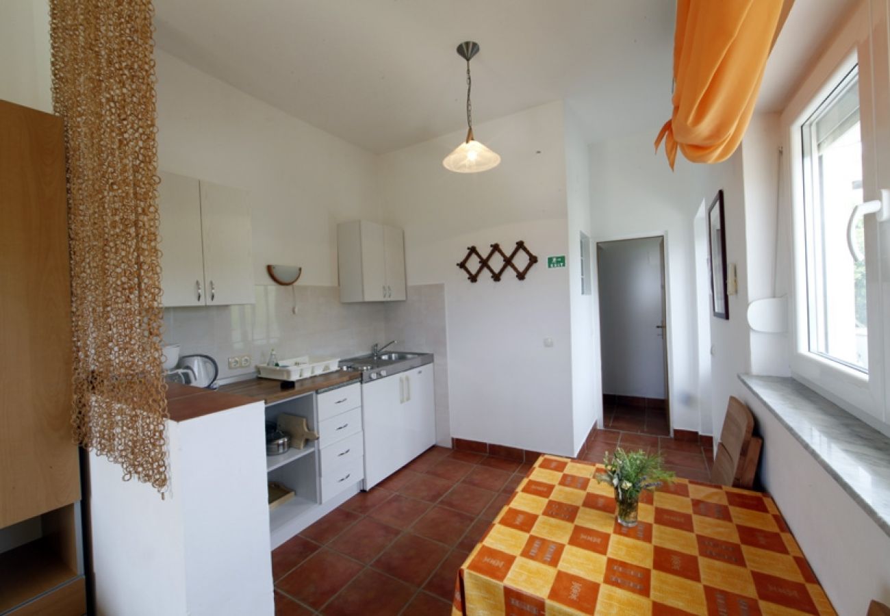 Studio a Lopar - Appartamento Studio in Loparo (Lopar) con vista mare, balcone, Climatizzazione, WIFI (4855-4)