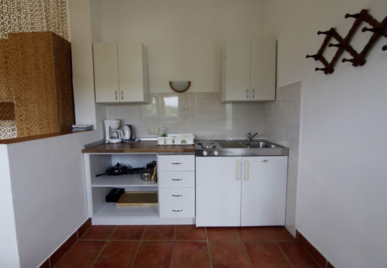 Studio a Lopar - Appartamento Studio in Loparo (Lopar) con vista mare, balcone, Climatizzazione, WIFI (4855-4)