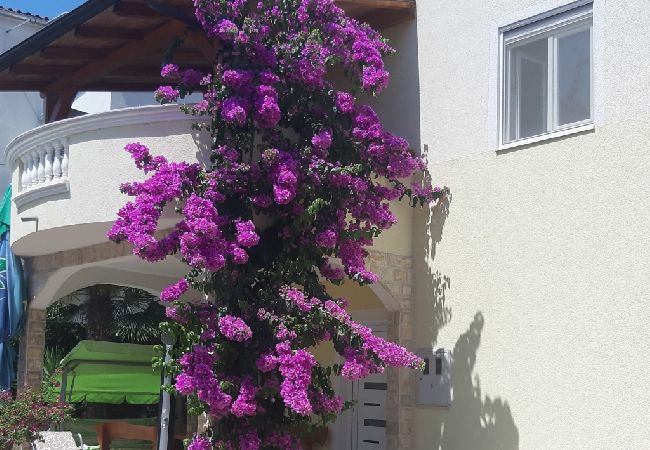 Appartamento a Vodice - Appartamento in Vodizze (Vodice) con terrazzo, Climatizzazione, WIFI, Lavastoviglie (83-2) Appartamento a Vodice - Appartamento in Vodizze (Vodice) con terrazzo, Climatizzazione, WIFI, Lavastoviglie (83-2)