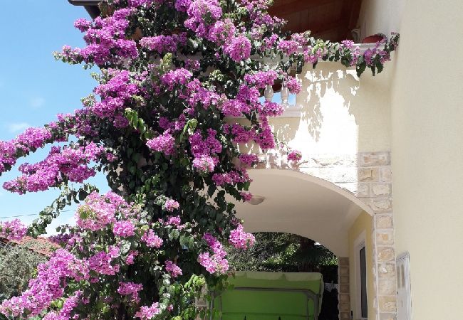 Appartamento a Vodice - Appartamento in Vodizze (Vodice) con terrazzo, Climatizzazione, WIFI, Lavastoviglie (83-2) Appartamento a Vodice - Appartamento in Vodizze (Vodice) con terrazzo, Climatizzazione, WIFI, Lavastoviglie (83-2)