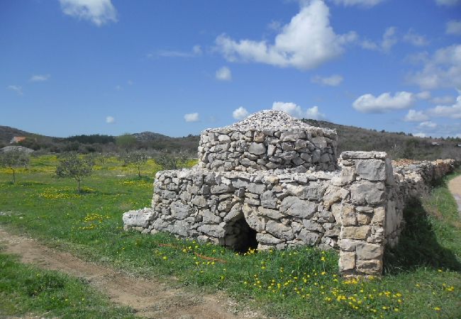 Appartamento a Vodice - Appartamento in Vodizze (Vodice) con terrazzo, Climatizzazione, WIFI, Lavastoviglie (83-2) Appartamento a Vodice - Appartamento in Vodizze (Vodice) con terrazzo, Climatizzazione, WIFI, Lavastoviglie (83-2)