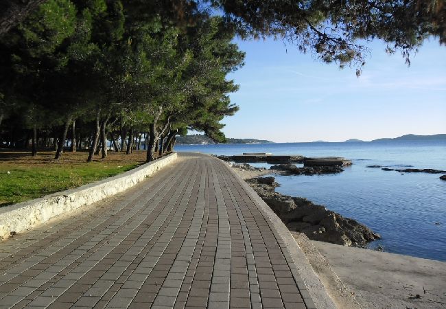 Appartamento a Vodice - Appartamento in Vodizze (Vodice) con terrazzo, Climatizzazione, WIFI, Lavastoviglie (83-2) Appartamento a Vodice - Appartamento in Vodizze (Vodice) con terrazzo, Climatizzazione, WIFI, Lavastoviglie (83-2)