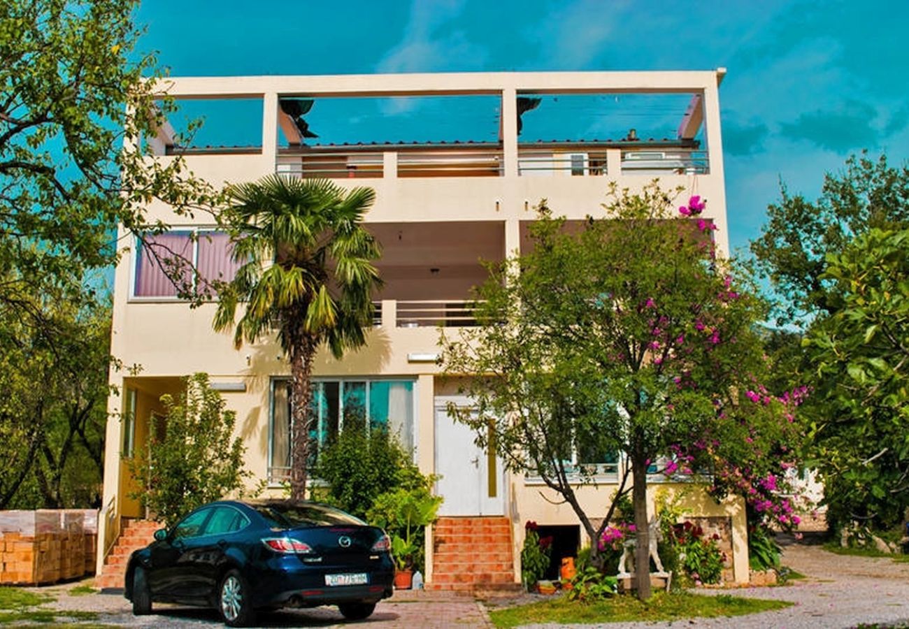 Studio a Seline - Monolocale a Seline con vista mare, Wi-Fi, terrazza (4209-4)