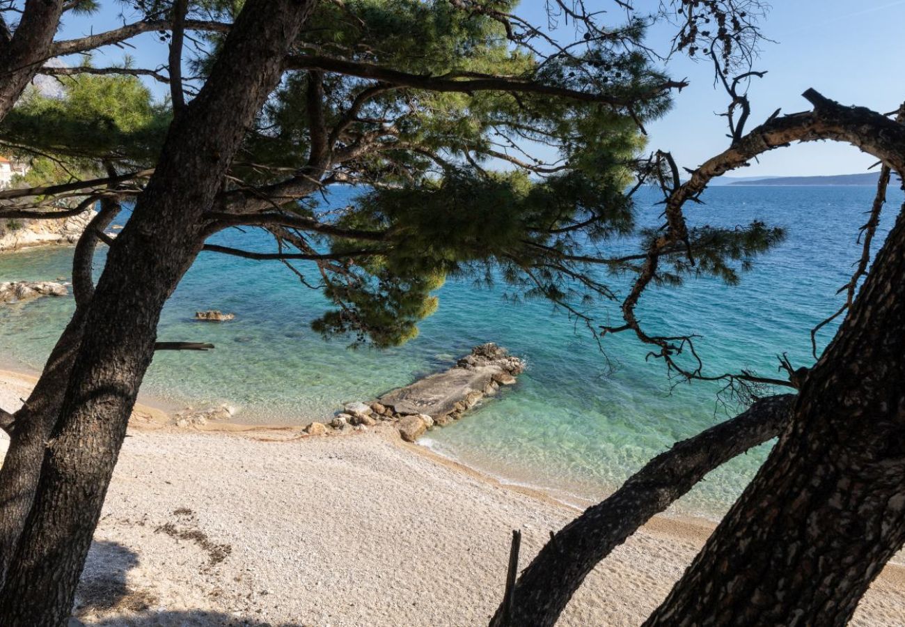 Appartamento a Pisak - Appartamento a Pisak con vista mare, terrazza, aria condizionata e Wi-Fi (4871-5)