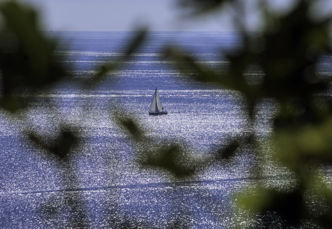 Studio a Umag - Monolocale a Umago con aria condizionata, lavatrice, Wi-Fi (4222-3)