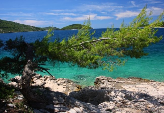 Dom w Vela Luka - Domek wypoczynkowy w Tri Porte (Potirna) z Widok na morze, taras, Klimatyzacja, WIFI (39-1) Dom w Vela Luka - Domek wypoczynkowy w Tri Porte (Potirna) z Widok na morze, taras, Klimatyzacja, WIFI (39-1)