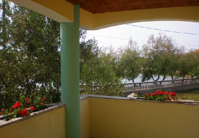 Apartament w Bibinje - Apartament w Bibinje z Widok na morze, taras, Klimatyzacja, WIFI (59-1) Apartament w Bibinje - Apartament w Bibinje z Widok na morze, taras, Klimatyzacja, WIFI (59-1)