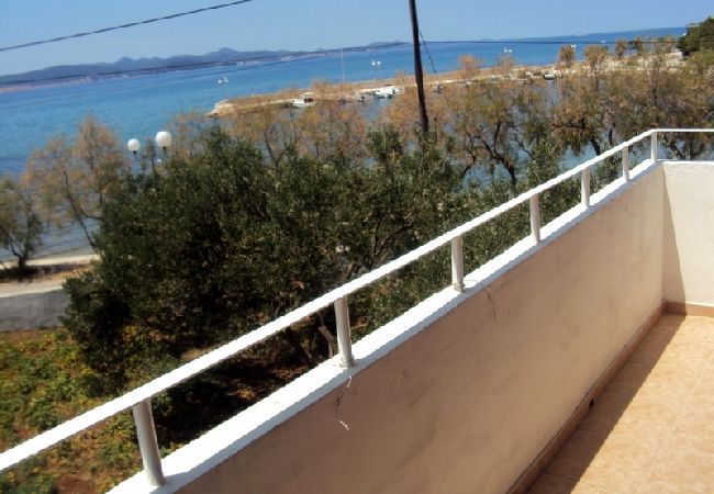 Apartament w Bibinje - Apartament w Bibinje z Widok na morze, balkon, Klimatyzacja, WIFI (59-2) Apartament w Bibinje - Apartament w Bibinje z Widok na morze, balkon, Klimatyzacja, WIFI (59-2)