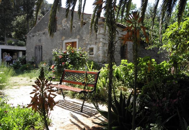 Dom w Veli Lošinj - Domek wypoczynkowy w Veli Lošinj z taras, Klimatyzacja, WIFI, Pralka (63-1) Dom w Veli Lošinj - Domek wypoczynkowy w Veli Lošinj z taras, Klimatyzacja, WIFI, Pralka (63-1)