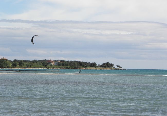 Apartament w Medulin - Apartament w Medulin z taras, Klimatyzacja, WIFI (64-2) Apartament w Medulin - Apartament w Medulin z taras, Klimatyzacja, WIFI (64-2)