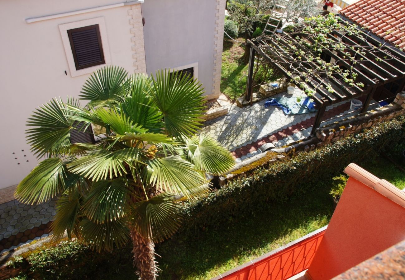 Apartament w Rovinj - Apartament w Rovinj z Widok na morze, taras, Klimatyzacja, WIFI (96-5)