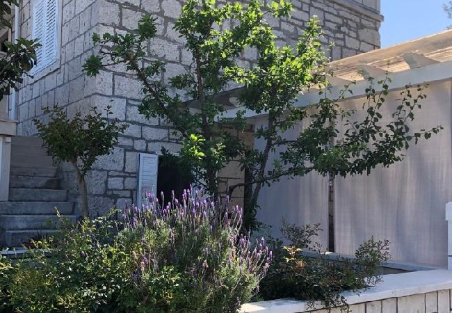 Studio w Lumbarda - Apartament Studio w Lumbarda z Widok na morze, taras, Klimatyzacja, WIFI (128-3) Studio w Lumbarda - Apartament Studio w Lumbarda z Widok na morze, taras, Klimatyzacja, WIFI (128-3)