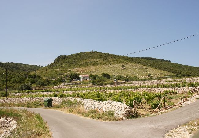 Dom w Vis - Domek wypoczynkowy w Vis z taras, Klimatyzacja, Zmywarka (139-3) Dom w Vis - Domek wypoczynkowy w Vis z taras, Klimatyzacja, Zmywarka (139-3)