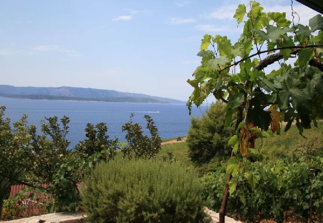 Apartament w Murvica - Apartament w Murvica z Widok na morze, taras, Klimatyzacja, WIFI (146-3) Apartament w Murvica - Apartament w Murvica z Widok na morze, taras, Klimatyzacja, WIFI (146-3)