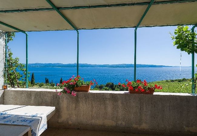 Apartament w Murvica - Apartament w Murvica z Widok na morze, taras, Klimatyzacja, WIFI (146-4) Apartament w Murvica - Apartament w Murvica z Widok na morze, taras, Klimatyzacja, WIFI (146-4)