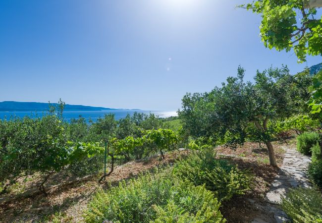 Apartament w Murvica - Apartament w Murvica z Widok na morze, taras, Klimatyzacja, WIFI (146-5) Apartament w Murvica - Apartament w Murvica z Widok na morze, taras, Klimatyzacja, WIFI (146-5)