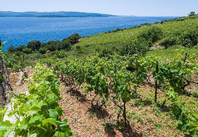 Dom w Murvica - Domek wypoczynkowy w Murvica z Widok na morze, taras, Klimatyzacja, WIFI (146-6) Dom w Murvica - Domek wypoczynkowy w Murvica z Widok na morze, taras, Klimatyzacja, WIFI (146-6)