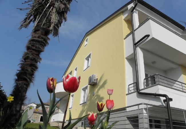 Zambratija - Apartament