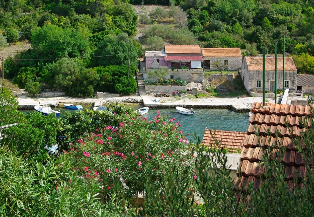 Dom w Vela Luka - Domek wypoczynkowy w Tri Porte (Potirna) z Widok na morze, taras, Klimatyzacja, WIFI (166-1)