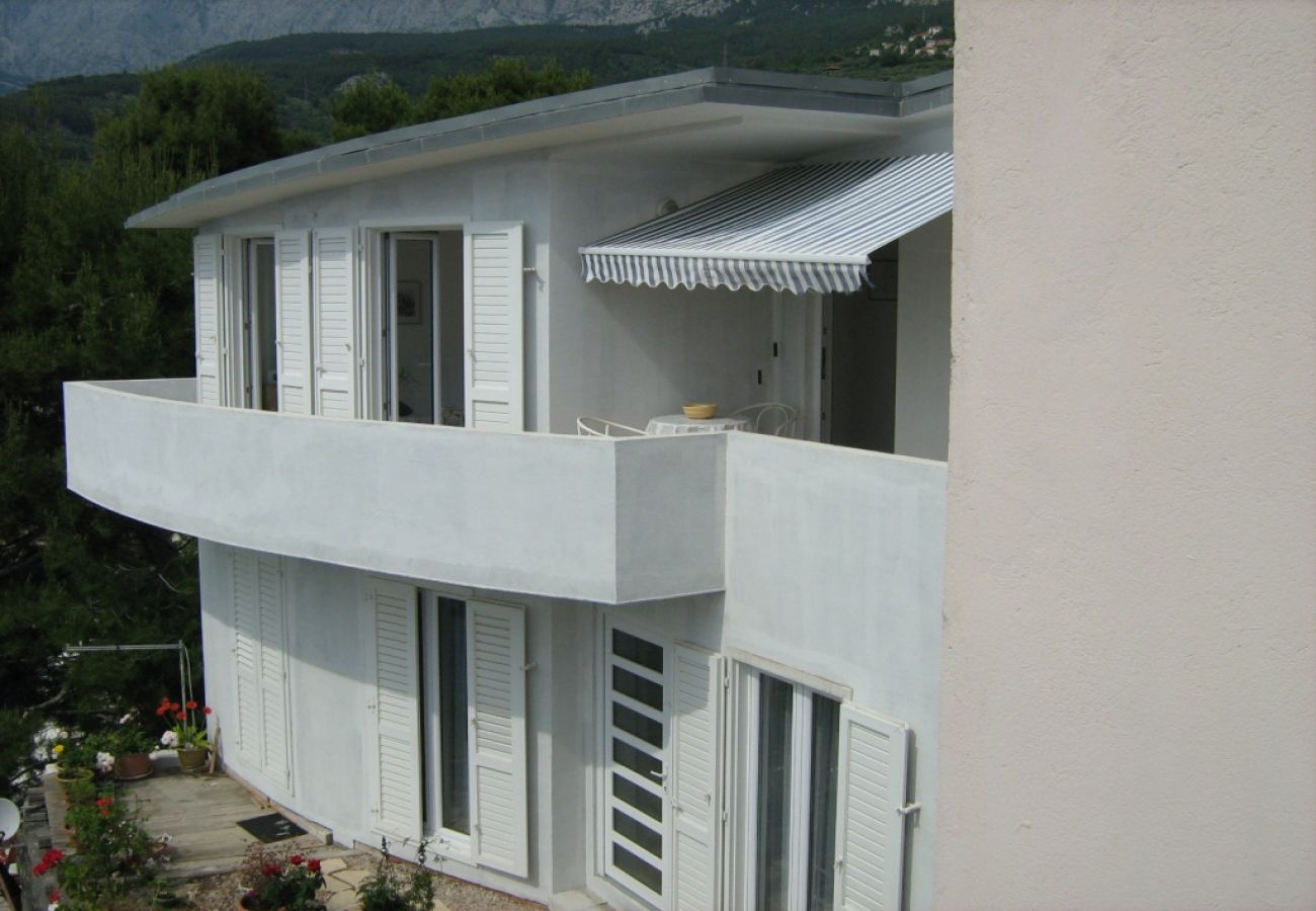 Apartament w Podgora - Apartament w Podgora z Widok na morze, taras, Klimatyzacja, WIFI (205-2)