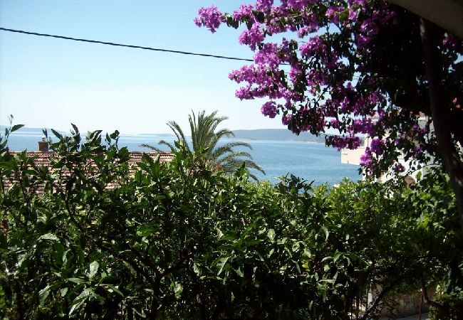 Apartament w Seget Vranjica - Apartament w Seget Vranjica z Widok na morze, balkon, Klimatyzacja, WIFI (215-1) Apartament w Seget Vranjica - Apartament w Seget Vranjica z Widok na morze, balkon, Klimatyzacja, WIFI (215-1)