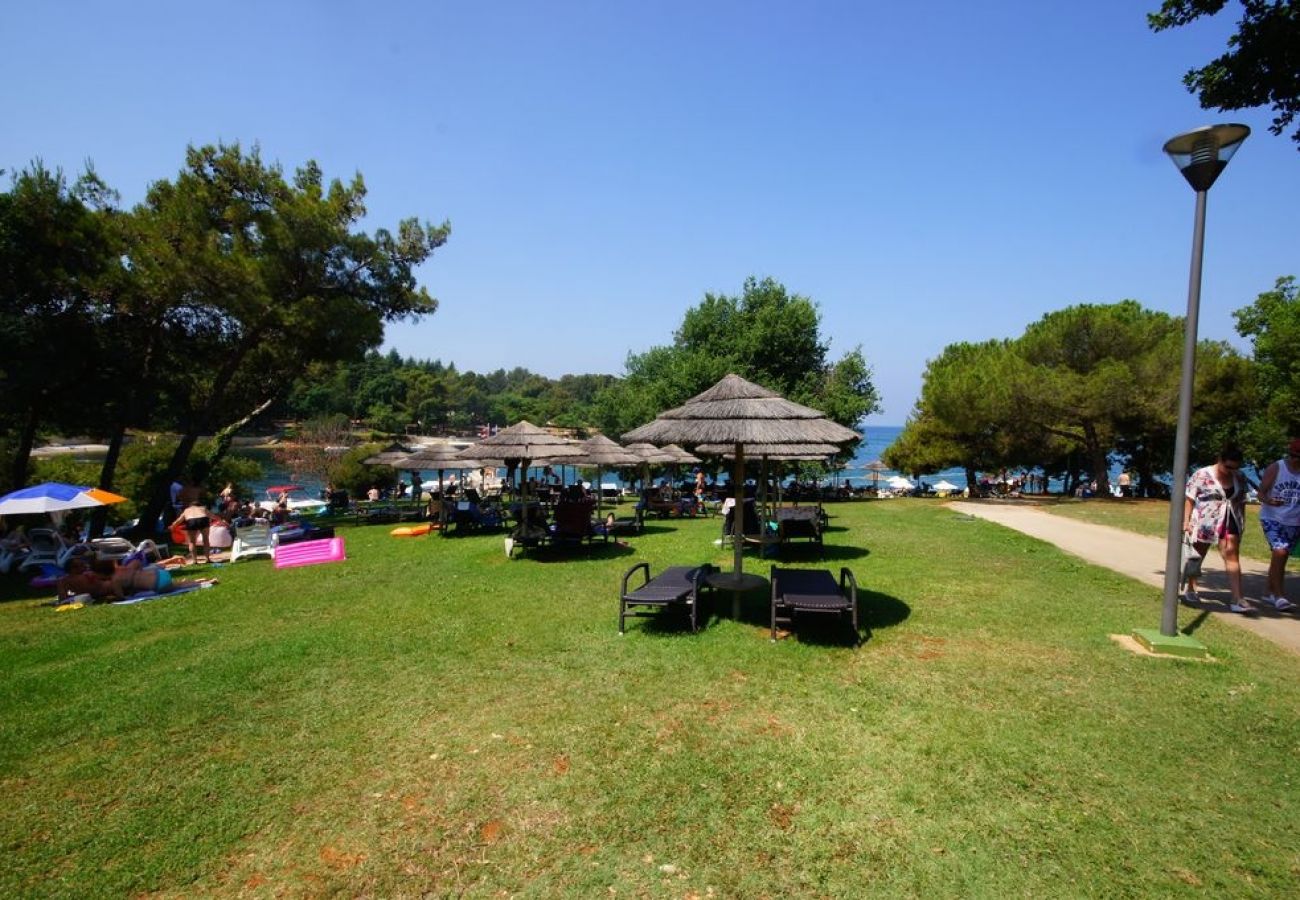 Apartament w Porec - Apartament w Poreč z balkon, Klimatyzacja, WIFI (228-1)