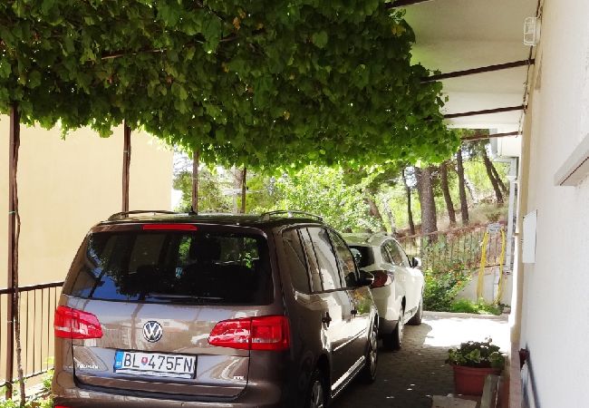 Apartament w Duce - Apartament w Duće z Widok na morze, balkon, Klimatyzacja, WIFI (237-1) Apartament w Duce - Apartament w Duće z Widok na morze, balkon, Klimatyzacja, WIFI (237-1)