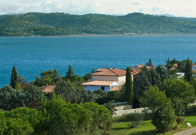 Apartament w Umag - Apartament w Umag z taras, Klimatyzacja, WIFI, Pralka (244-2) Apartament w Umag - Apartament w Umag z taras, Klimatyzacja, WIFI, Pralka (244-2)