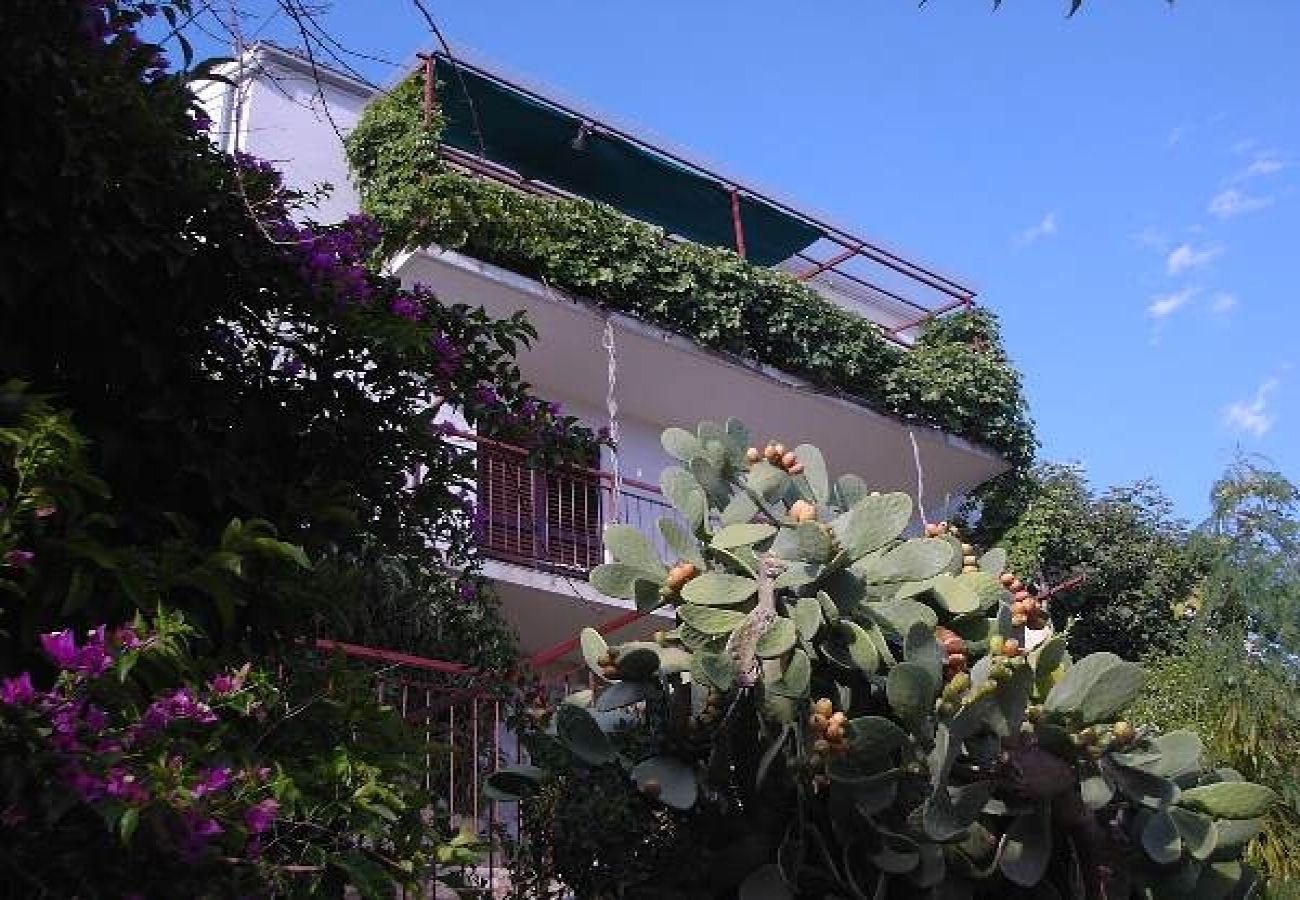 Apartament w Hvar - Apartament w Hvar z balkon, Klimatyzacja, WIFI, Pralka (221-2)