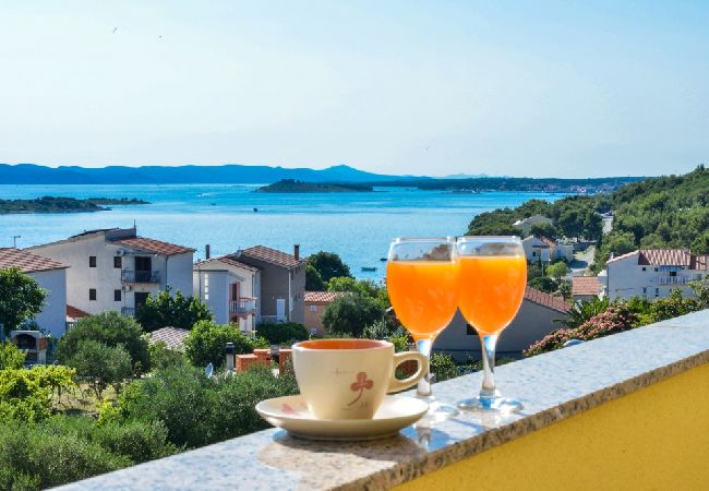 Apartament w Drage - Apartament w Drage z Widok na morze, balkon, Klimatyzacja, WIFI (566-2) Apartament w Drage - Apartament w Drage z Widok na morze, balkon, Klimatyzacja, WIFI (566-2)