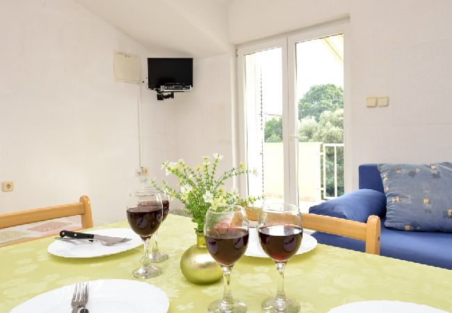 Apartament w Drage - Apartament w Drage z Widok na morze, balkon, Klimatyzacja, WIFI (566-2) Apartament w Drage - Apartament w Drage z Widok na morze, balkon, Klimatyzacja, WIFI (566-2)