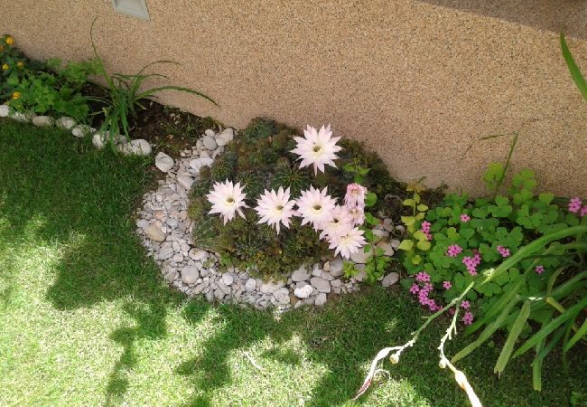 Apartament w Kaštel Sucurac - Apartament w Kaštel Sućurac z Widok na morze, balkon, Klimatyzacja, WIFI (570-1) Apartament w Kaštel Sucurac - Apartament w Kaštel Sućurac z Widok na morze, balkon, Klimatyzacja, WIFI (570-1)