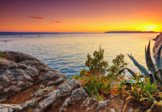 Apartament w Brist - Apartament w Brist z balkon, Klimatyzacja, WIFI (610-6) Apartament w Brist - Apartament w Brist z balkon, Klimatyzacja, WIFI (610-6)