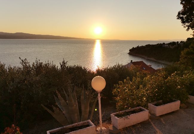 Apartament w Stanici - Ferienwohnung in Stanići mit Meerblick, Balkon, Klimaanlage, W-LAN (634-2) Apartament w Stanici - Ferienwohnung in Stanići mit Meerblick, Balkon, Klimaanlage, W-LAN (634-2)