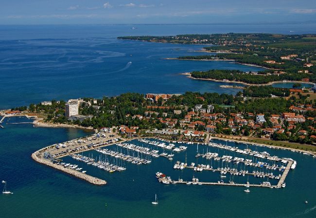 Apartament w Umag - Apartament w Umag z balkon, Klimatyzacja, WIFI (653-1) Apartament w Umag - Apartament w Umag z balkon, Klimatyzacja, WIFI (653-1)