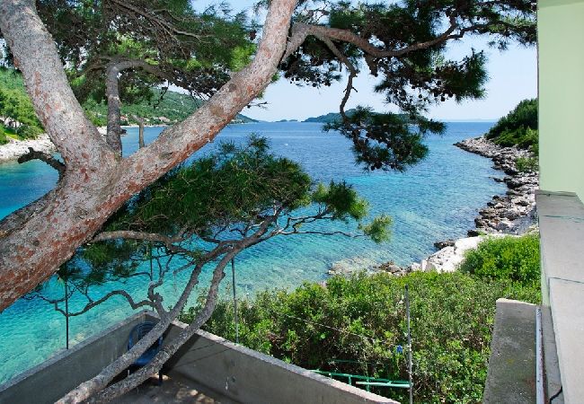 Apartament w Karbuni - Apartament w Karbuni z Widok na morze, taras, Klimatyzacja, WIFI (217-3) Apartament w Karbuni - Apartament w Karbuni z Widok na morze, taras, Klimatyzacja, WIFI (217-3)