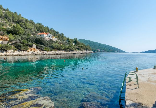 Apartament w Karbuni - Apartament w Karbuni z Widok na morze, taras, Klimatyzacja, WIFI (217-3) Apartament w Karbuni - Apartament w Karbuni z Widok na morze, taras, Klimatyzacja, WIFI (217-3)