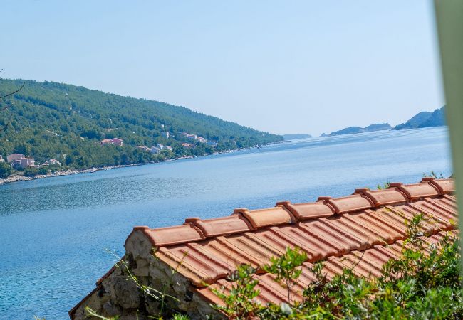 Apartament w Karbuni - Apartament w Karbuni z Widok na morze, taras, Klimatyzacja, WIFI (217-3) Apartament w Karbuni - Apartament w Karbuni z Widok na morze, taras, Klimatyzacja, WIFI (217-3)