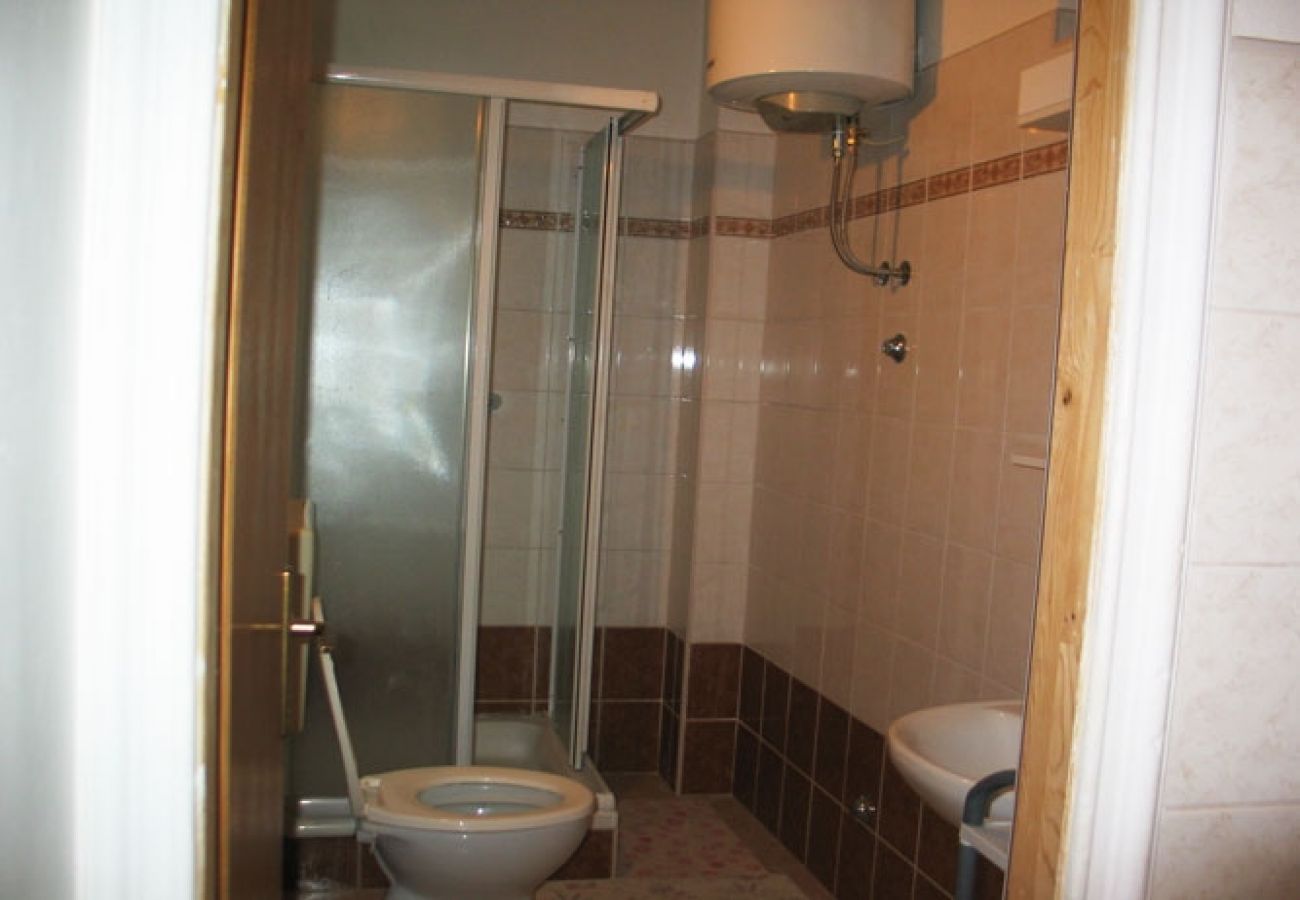 Apartament w Privlaka - Apartament w Privlaka z taras, Klimatyzacja, WIFI, Pralka (821-1)