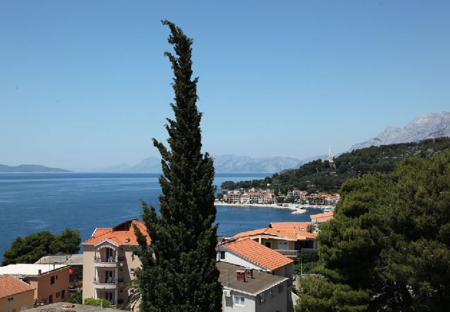 Apartament w Podgora - Apartament w Podgora z Widok na morze, taras, Klimatyzacja, WIFI (849-1) Apartament w Podgora - Apartament w Podgora z Widok na morze, taras, Klimatyzacja, WIFI (849-1)