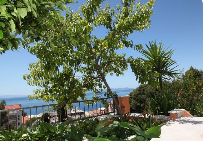 Apartament w Podgora - Apartament w Podgora z Widok na morze, taras, Klimatyzacja, WIFI (849-2) Apartament w Podgora - Apartament w Podgora z Widok na morze, taras, Klimatyzacja, WIFI (849-2)