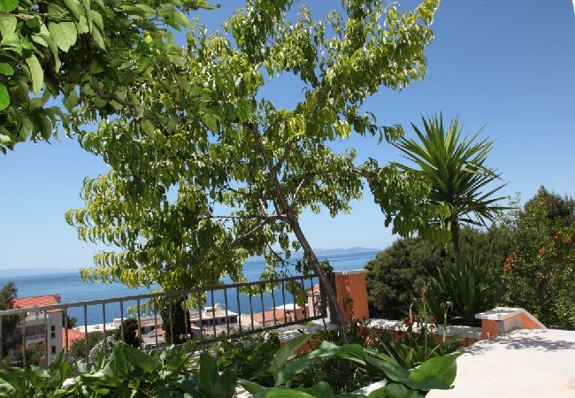 Apartament w Podgora - Apartament w Podgora z Widok na morze, taras, Klimatyzacja, WIFI (849-3) Apartament w Podgora - Apartament w Podgora z Widok na morze, taras, Klimatyzacja, WIFI (849-3)