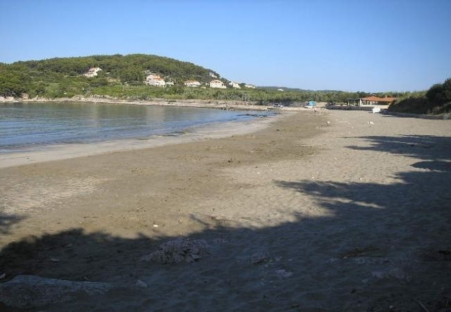 Apartament w Lumbarda - Apartament w Lumbarda z Widok na morze, taras, Klimatyzacja, WIFI (856-3) Apartament w Lumbarda - Apartament w Lumbarda z Widok na morze, taras, Klimatyzacja, WIFI (856-3)