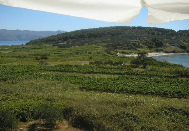 Apartament w Lumbarda - Apartament w Lumbarda z Widok na morze, taras, Klimatyzacja, WIFI (856-3) Apartament w Lumbarda - Apartament w Lumbarda z Widok na morze, taras, Klimatyzacja, WIFI (856-3)