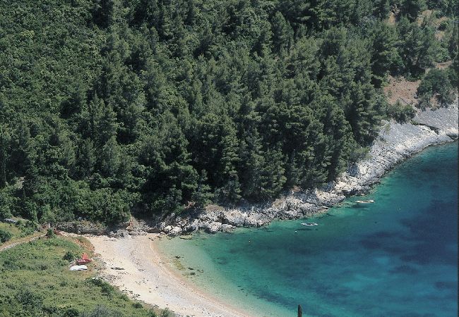 Apartament w Lumbarda - Apartament w Lumbarda z Widok na morze, taras, Klimatyzacja, WIFI (856-3) Apartament w Lumbarda - Apartament w Lumbarda z Widok na morze, taras, Klimatyzacja, WIFI (856-3)